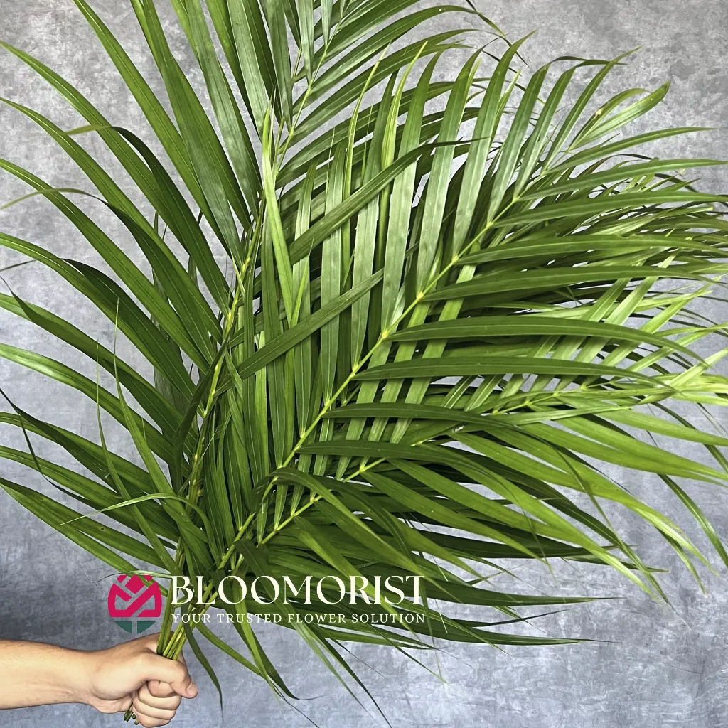 Daun Palm